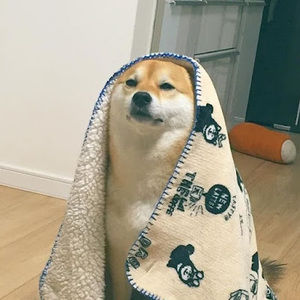 Meet your Posher, Jennery